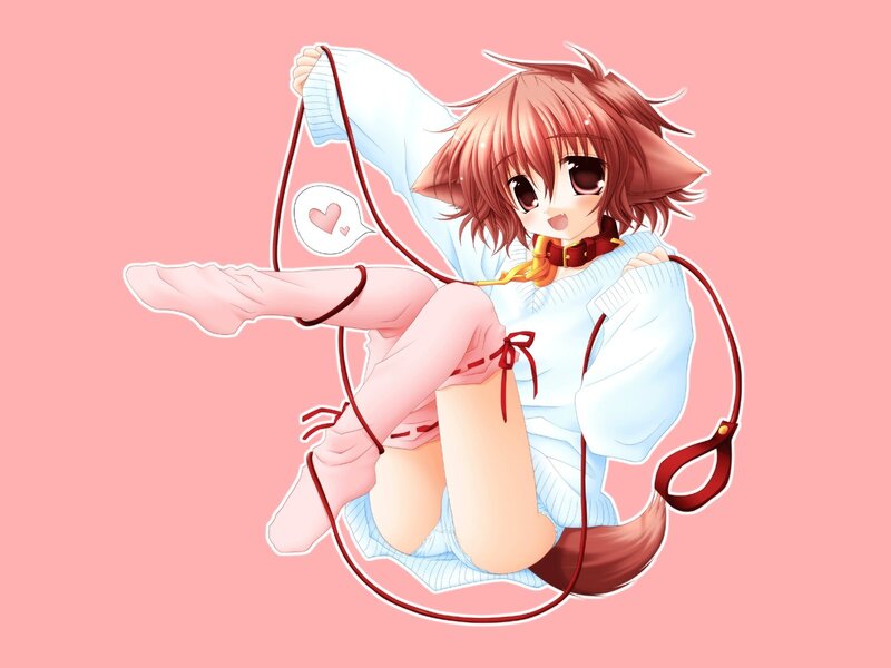 anime girl with cat ears
