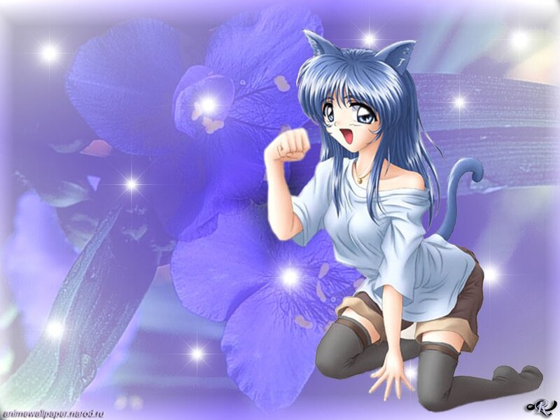 anime girl with cat ears