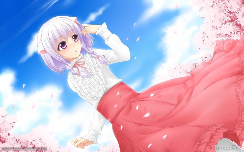 anime girl with cat ears