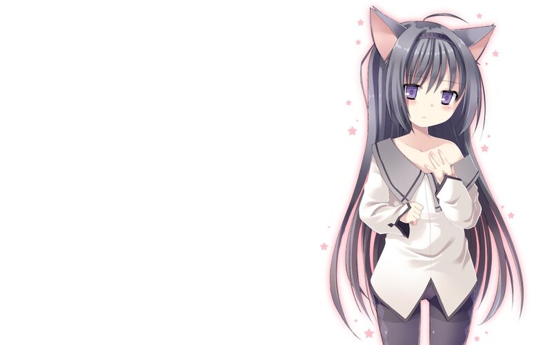 anime girl with cat ears