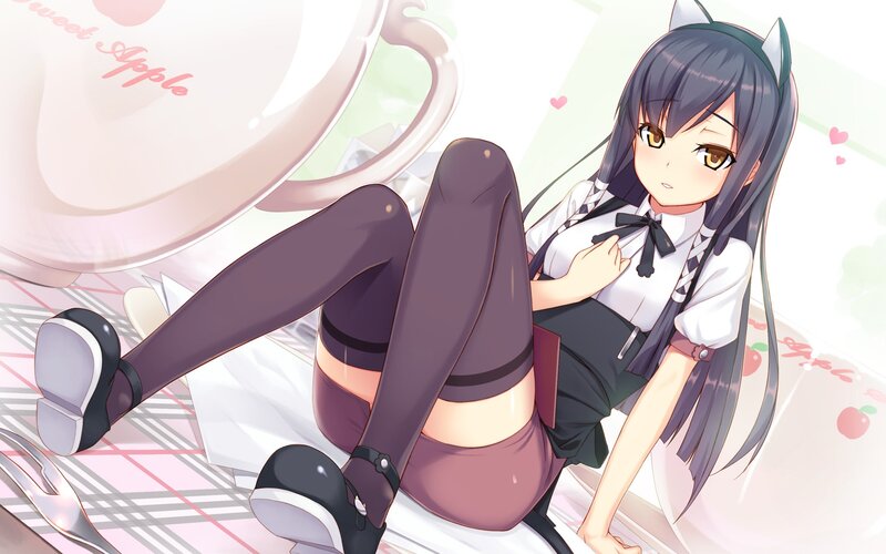 anime girl with cat ears
