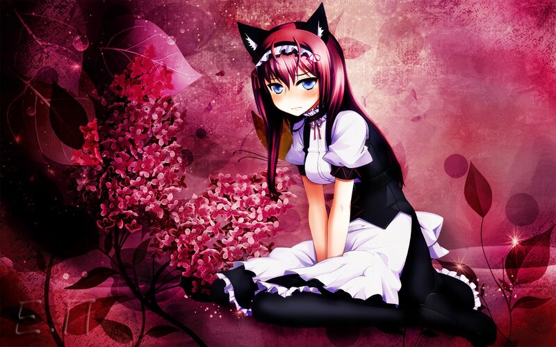 anime girl with cat ears