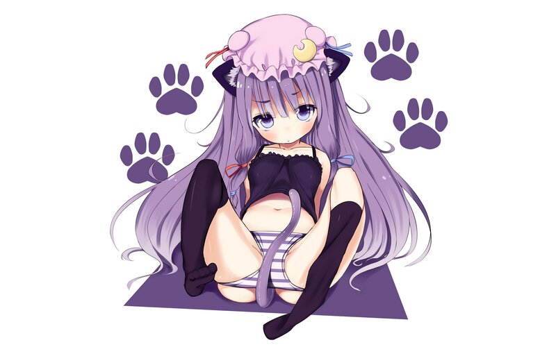 anime girl with cat ears