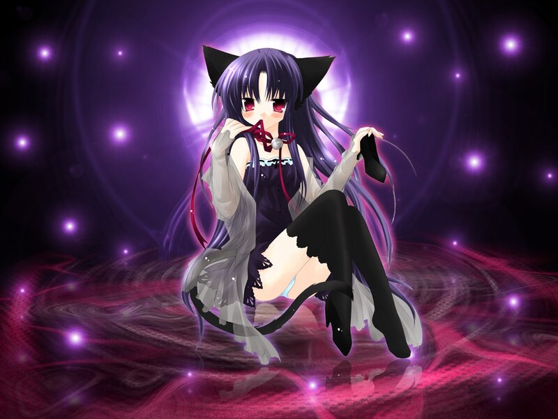 anime girl with cat ears