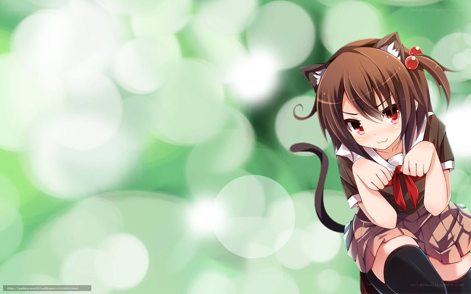 anime girl with cat ears
