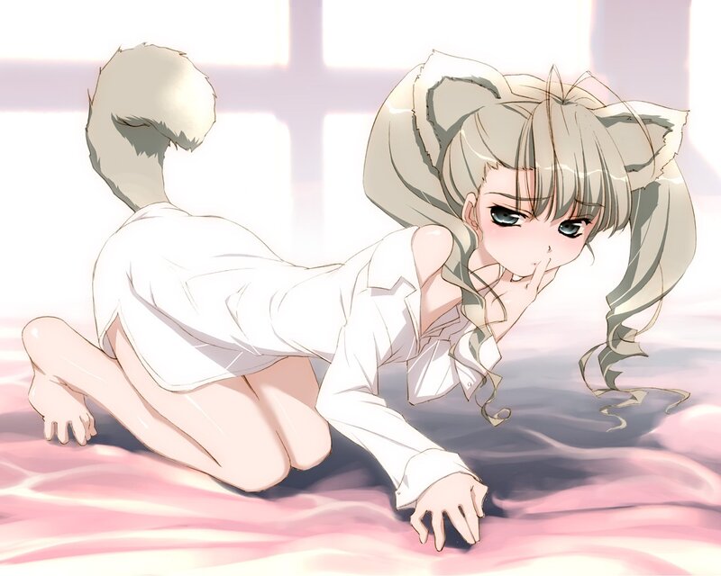 anime girl with cat ears