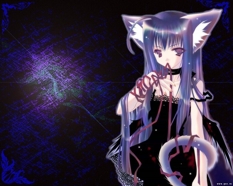 anime girl with cat ears