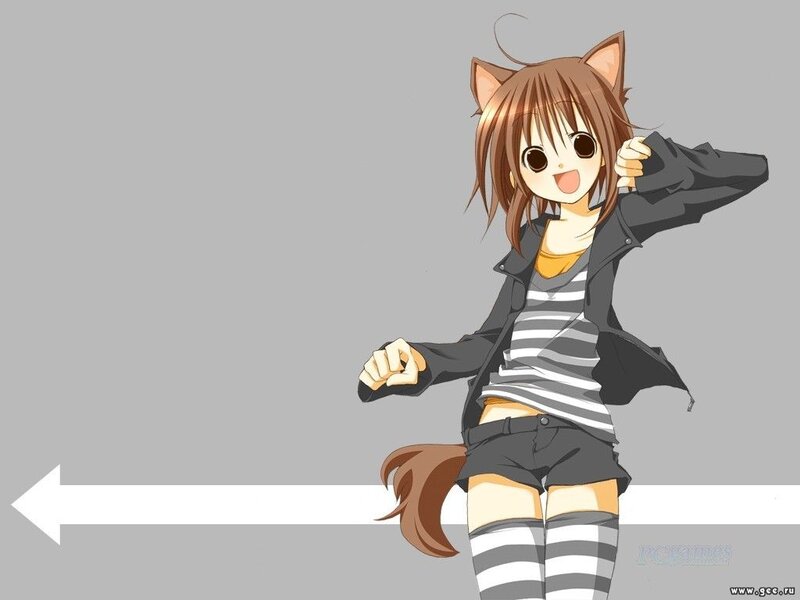 anime girl with cat ears