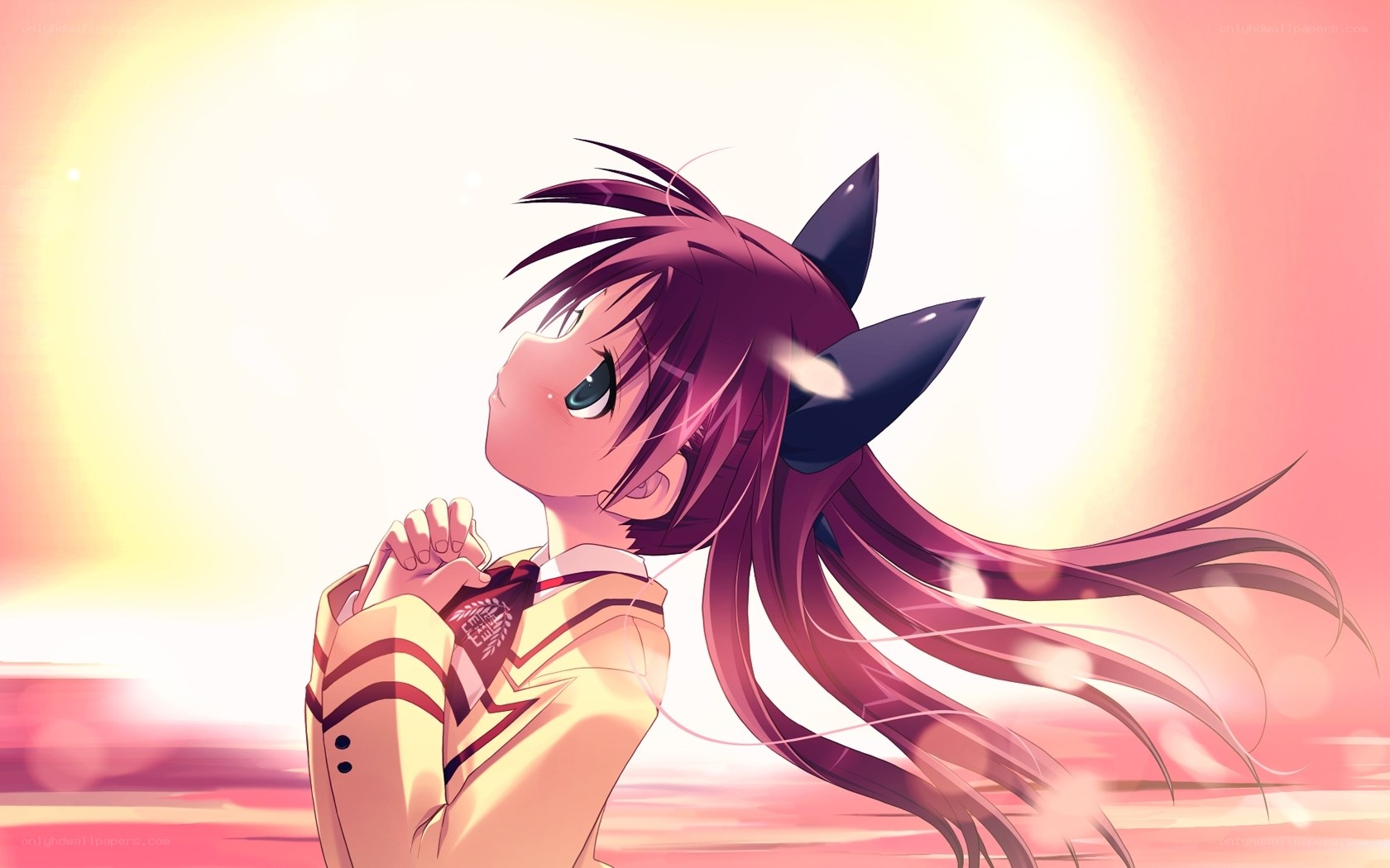 anime girl with cat ears