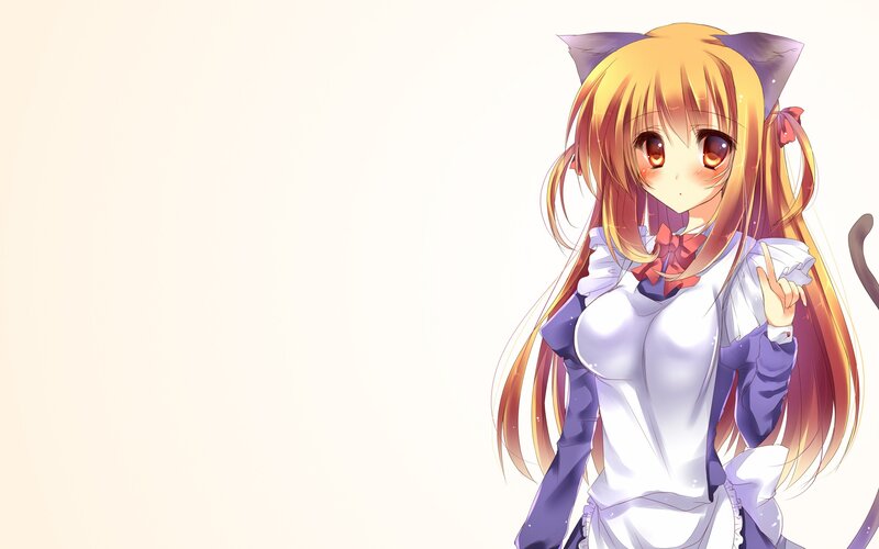 anime girl with cat ears