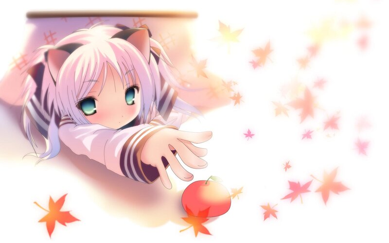 anime girl with cat ears