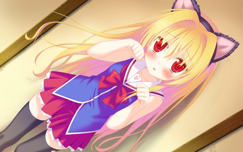 anime girl with cat ears