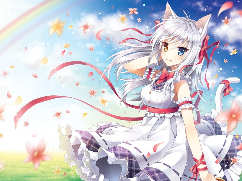 Anime girl with cat ears