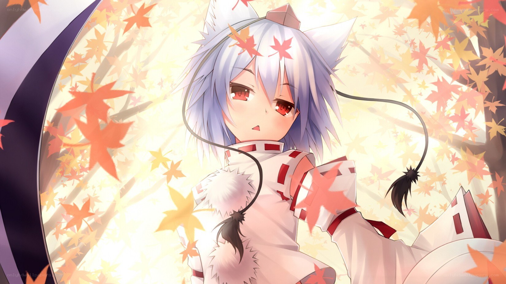 anime girl with cat ears