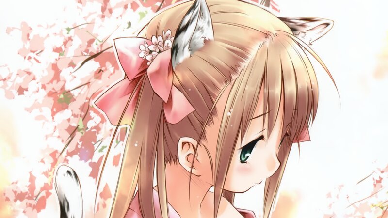 anime girl with cat ears