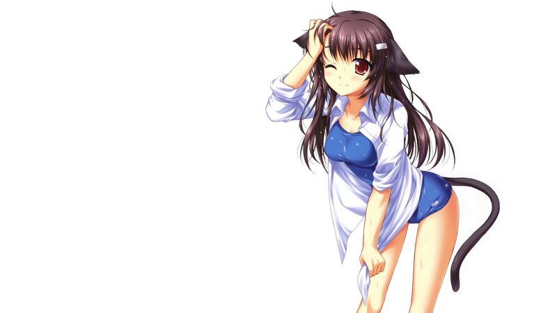 anime girl with cat ears