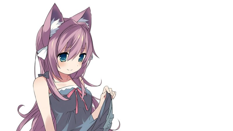 anime girl with cat ears