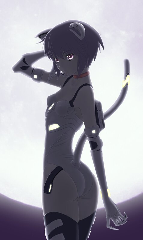 anime girl with cat ears