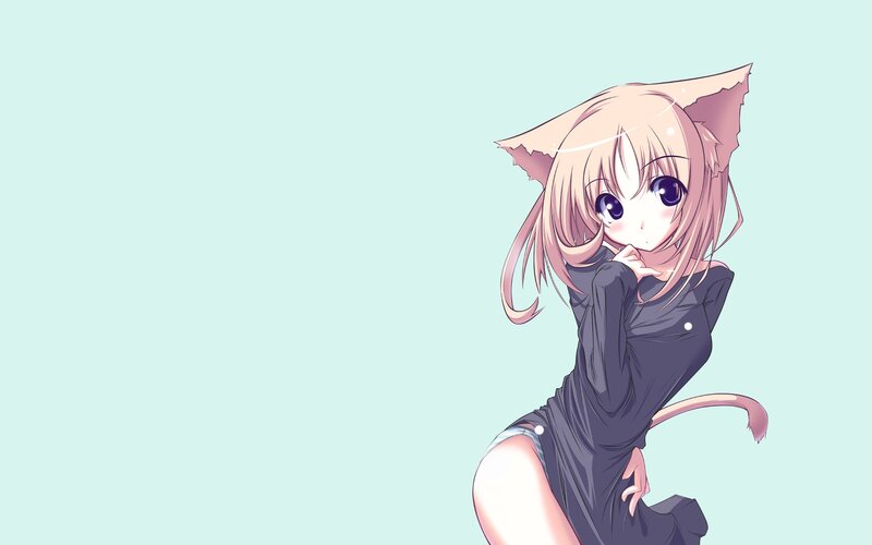 anime girl with cat ears