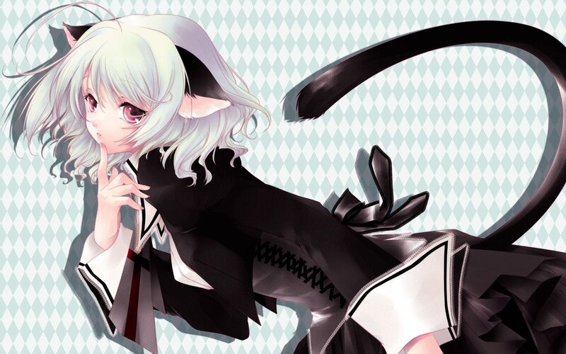 anime girl with cat ears
