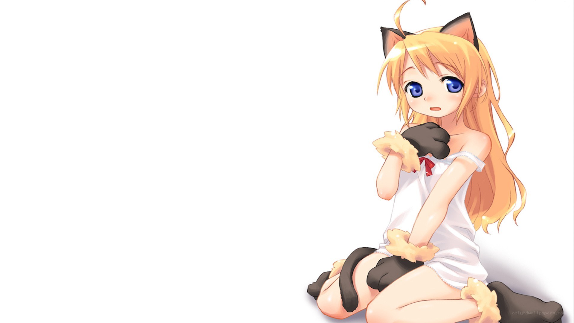 anime girl with cat ears
