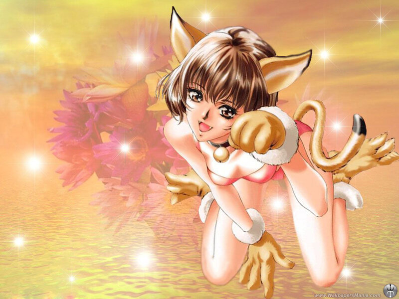 anime girl with cat ears