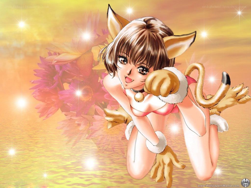 anime girl with cat ears
