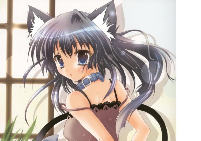 anime girl with cat ears