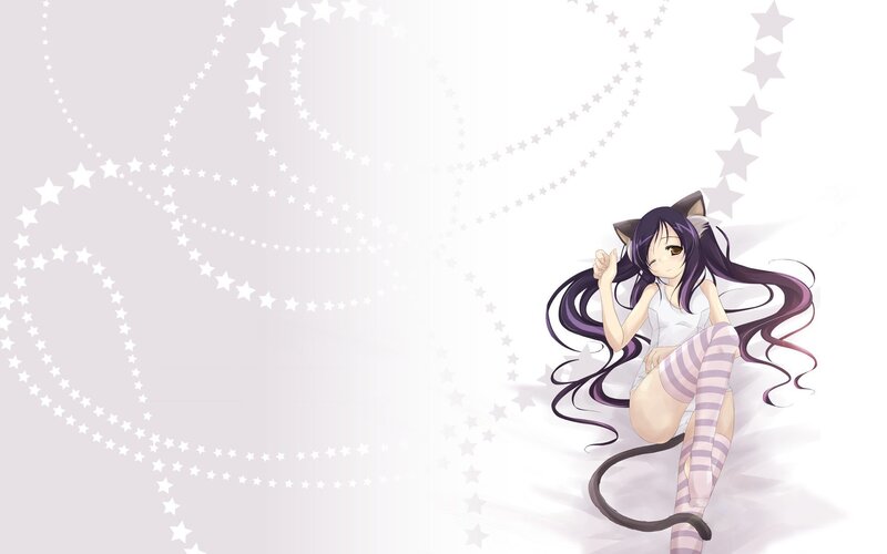 anime girl with cat ears