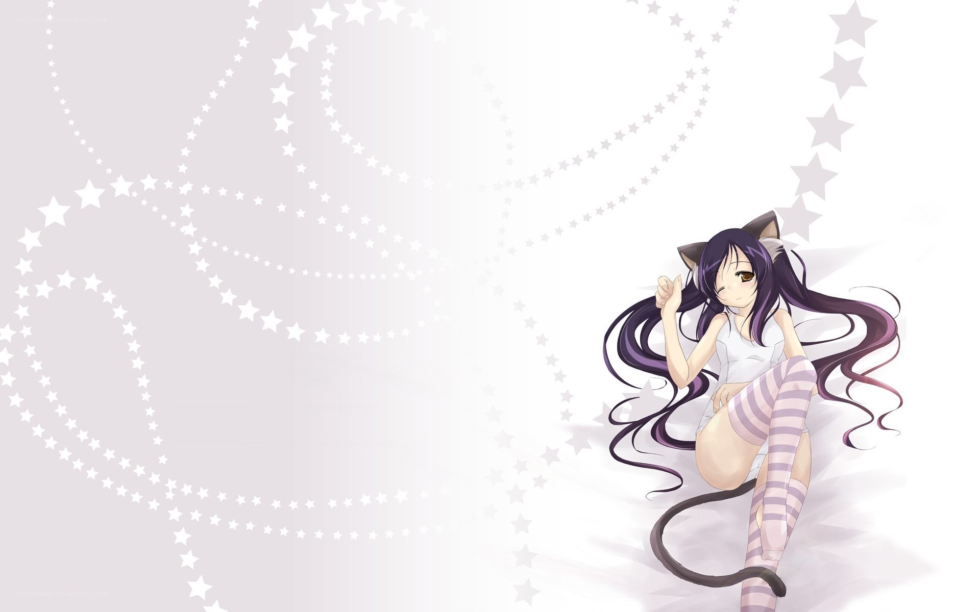 anime girl with cat ears