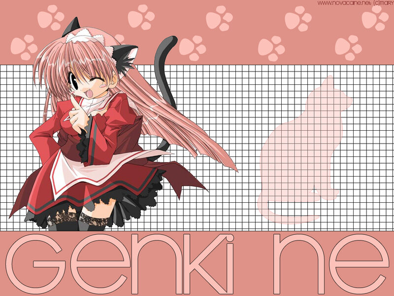 anime girl with cat ears