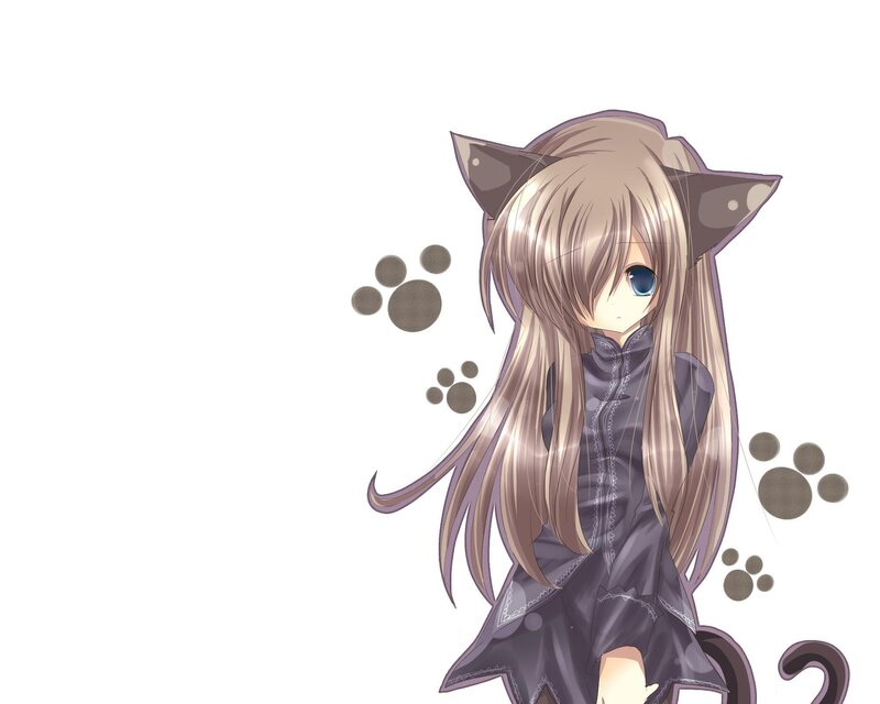 anime girl with cat ears