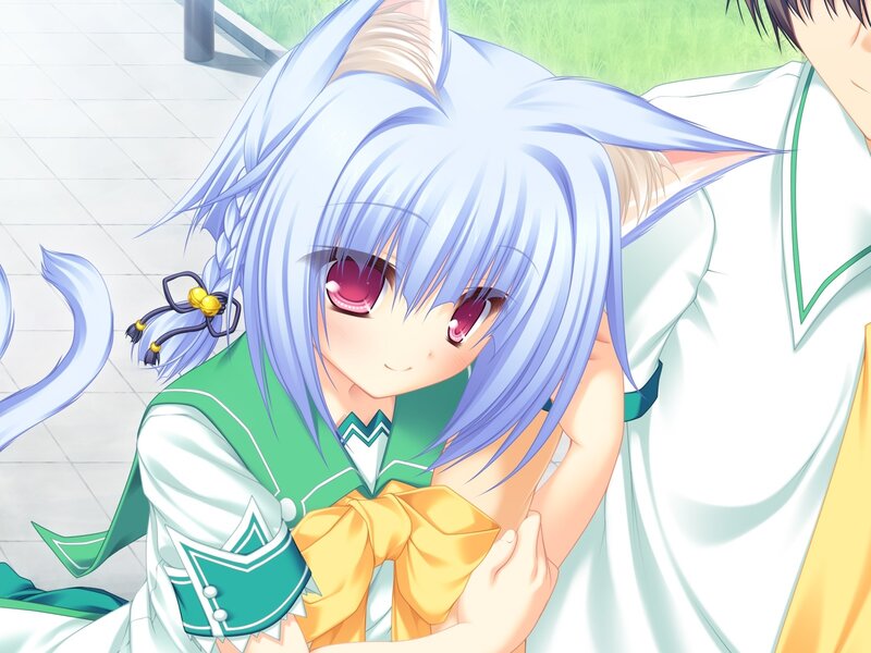 anime girl with cat ears