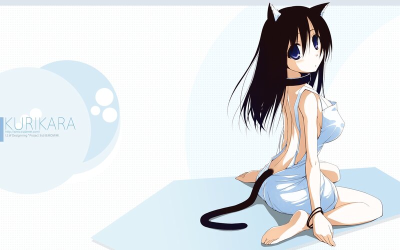 Anime girl with cat ears and tail