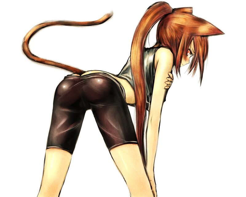 anime girl with cat ears and tail
