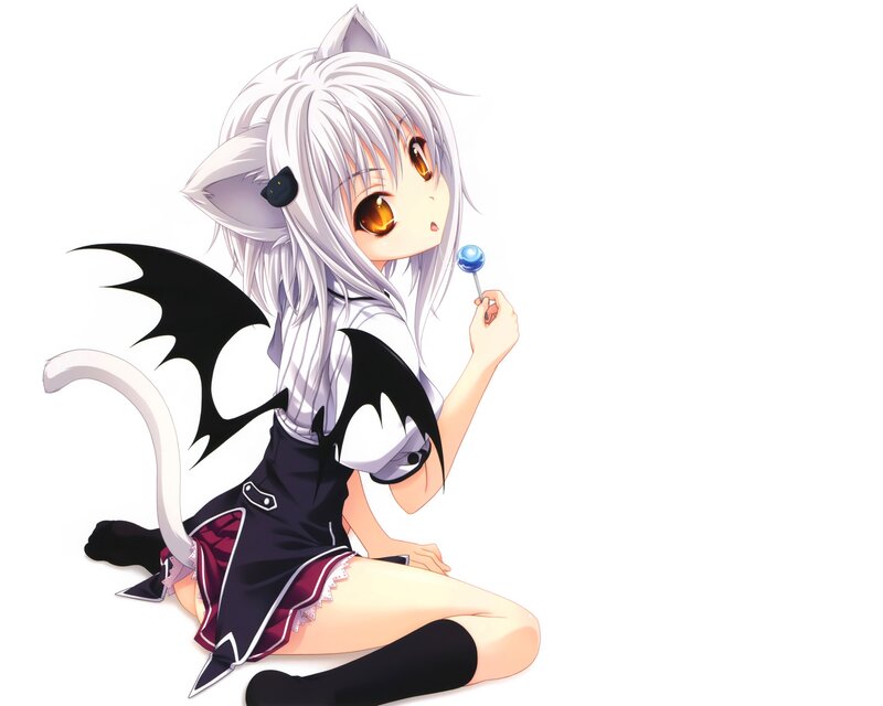 anime girl with cat ears and wings