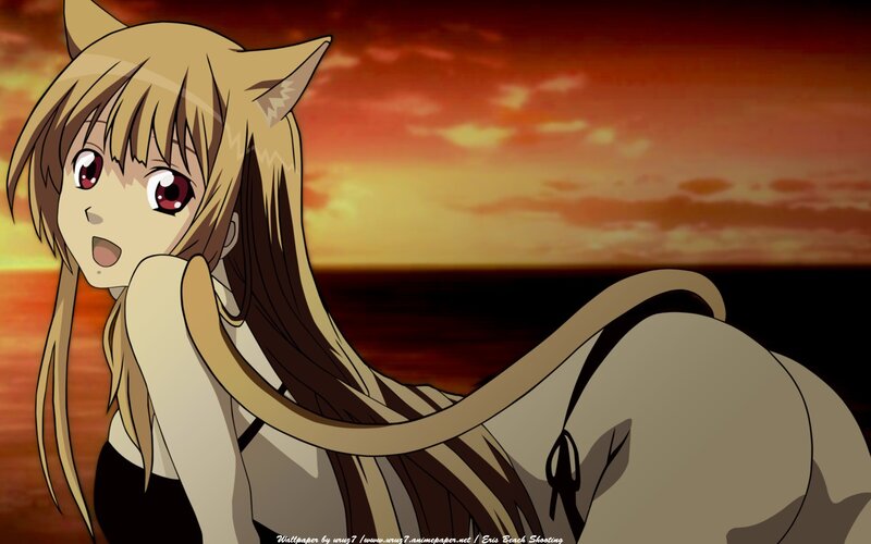 anime girl with cat ears at sunset
