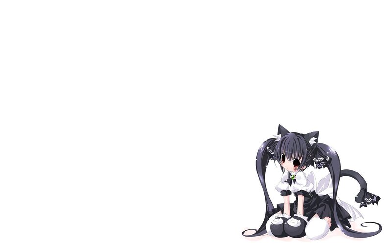 Anime Girl with Cat Ears — Black, Calm, Cat Ears, Tail, School Uniform, White