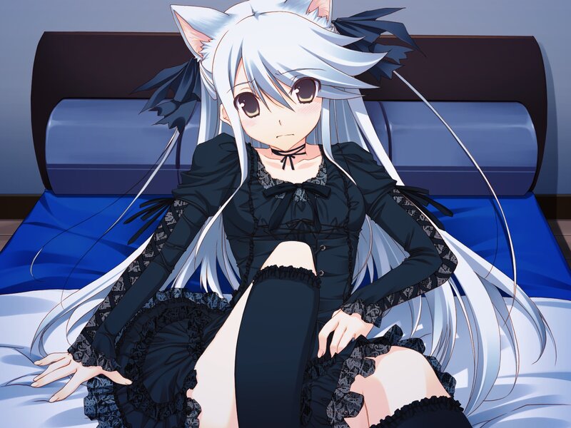 Anime Girl with Cat Ears — Black, Calm, Night