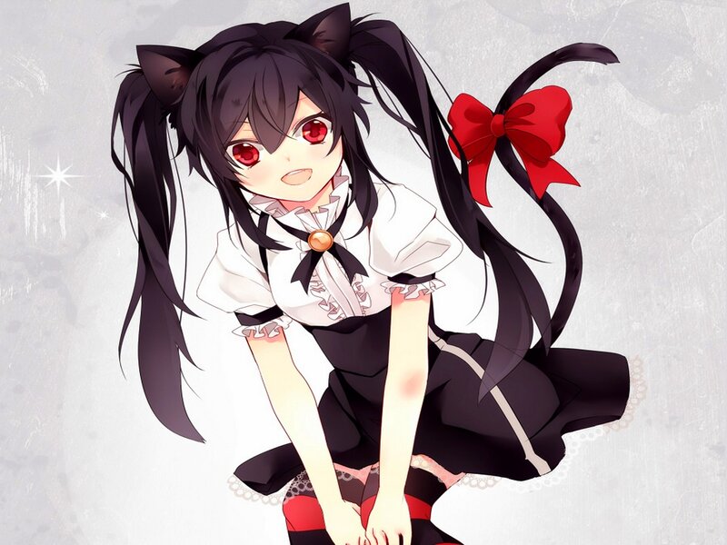Anime Girl with Cat Ears — Black, Playful, Cat Ears, Cat Tail