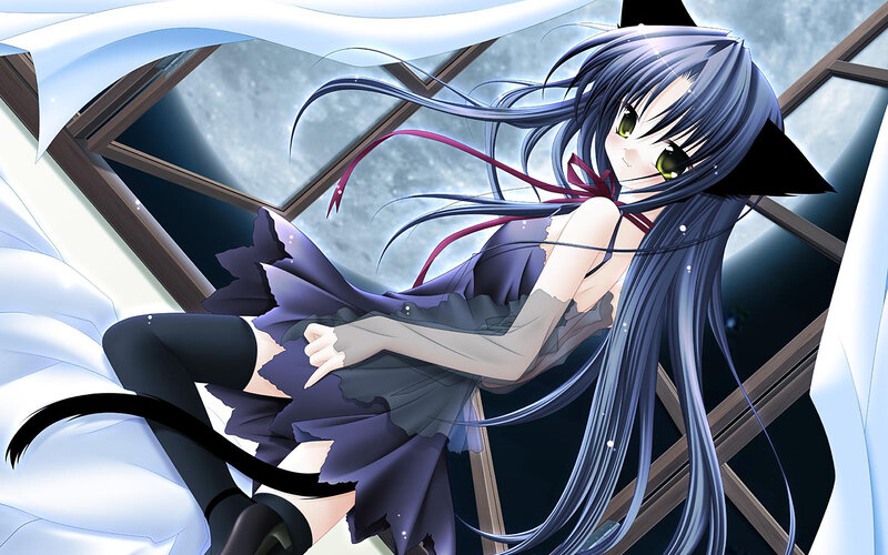 Anime Girl with Cat Ears — Blue, Calm, Night, Cat Ears, Cat Tail