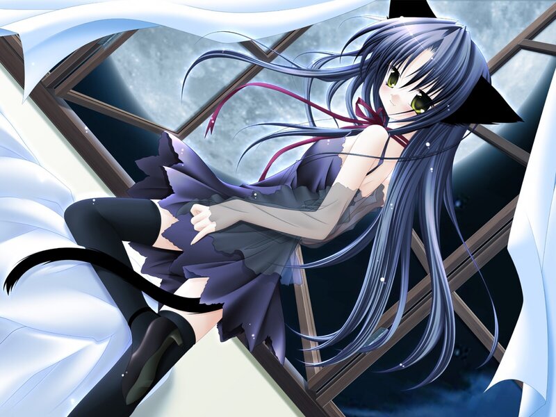 Anime Girl with Cat Ears — Blue, Calm, Night