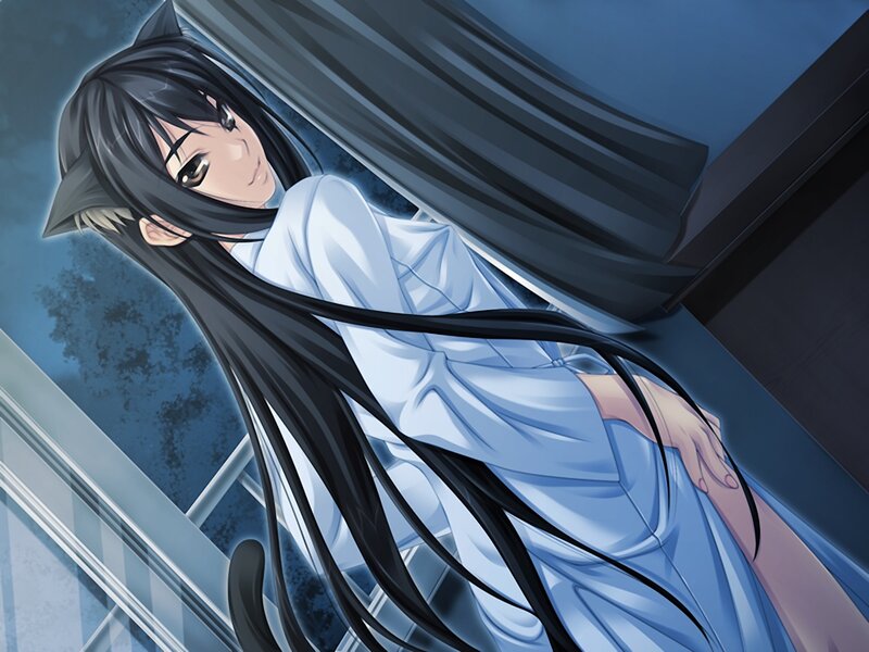 Anime Girl with Cat Ears — Blue, Dramatic, Night, Cat Ears