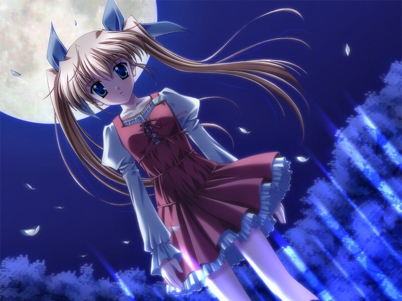 Anime Girl with Cat Ears — Blue, Dramatic, Night, Moon