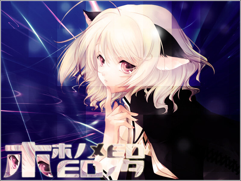 Anime Girl with Cat Ears — Blue, Dramatic, Night