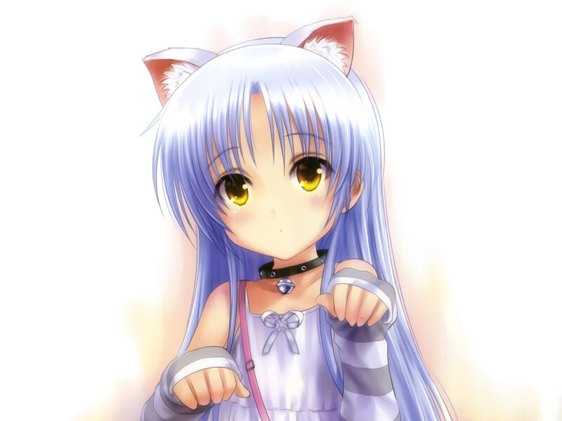 Anime Girl with Cat Ears — Blue, Innocent