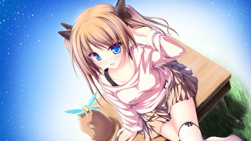 Anime Girl with Cat Ears — Blue, Serene, Afternoon, Cat Ears, Fairy, Desk