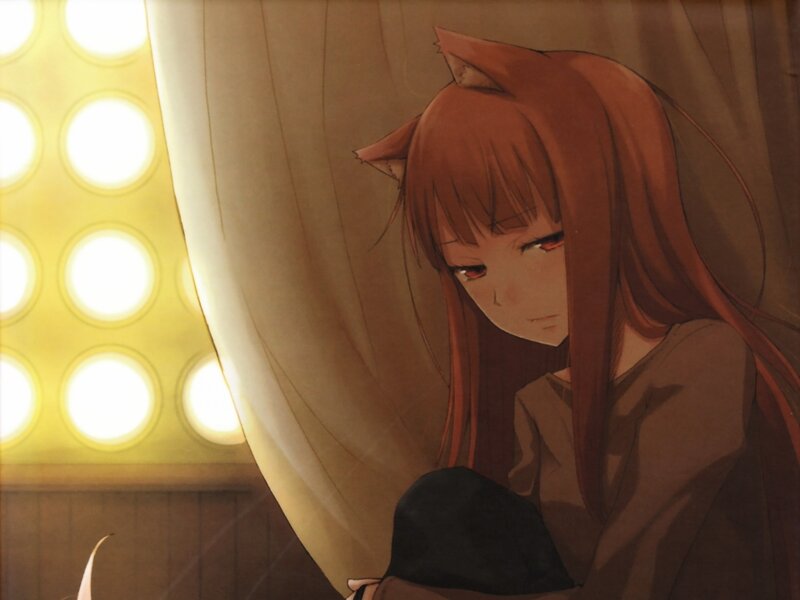 Anime Girl with Cat Ears — Brown, Calm, Cat Ears, Curtain