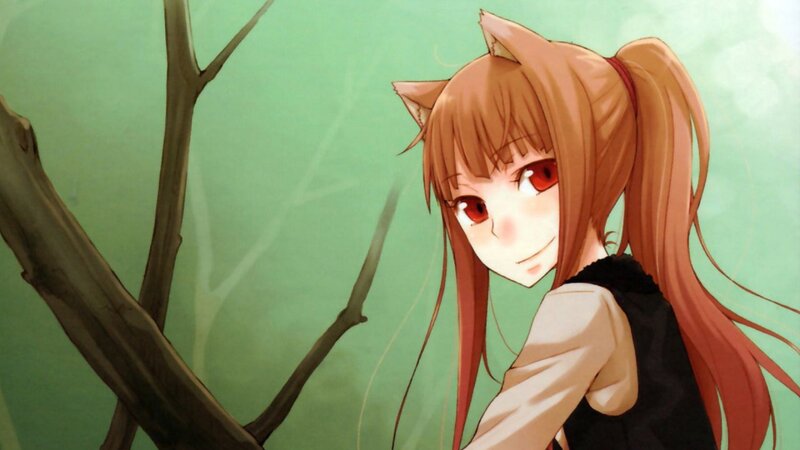 Anime Girl with Cat Ears — Brown, Calm, Cat Ears, Ponytail