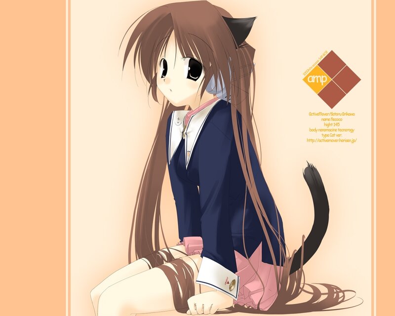Anime Girl with Cat Ears — Brown, Calm, Cat Tail